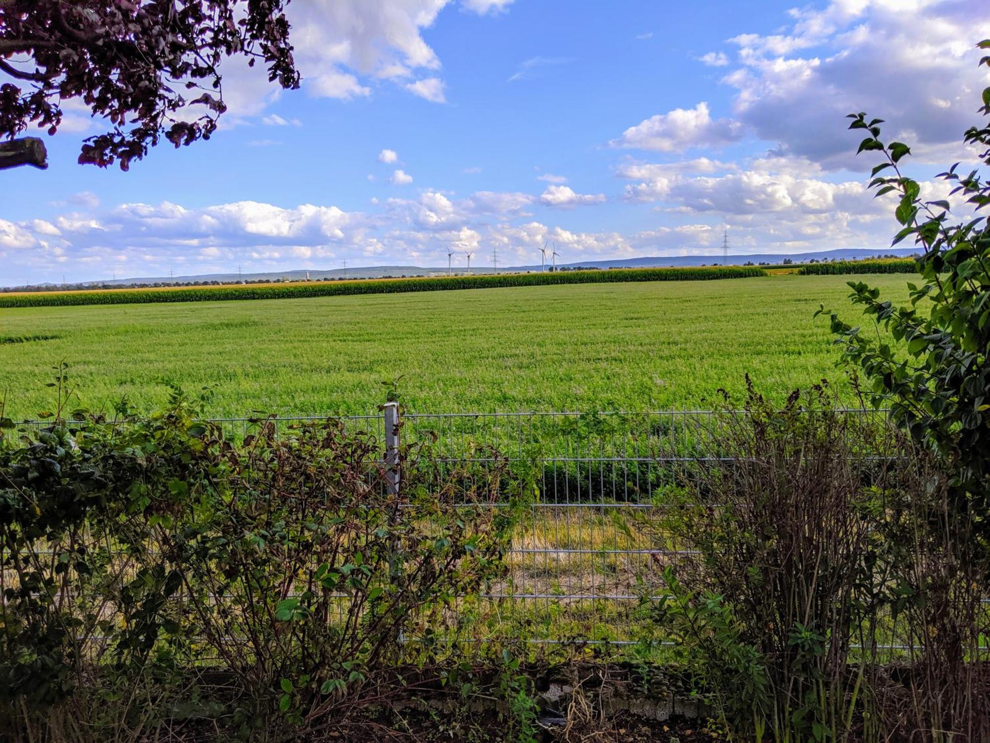 Grosse Schoenheit Mit Panoramablick Euskirchen Exteriör bild